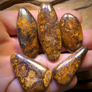 🔒217.7cts - 5x Australian Tribal Boulder Opal’s. Wholesale Dealers Parcel