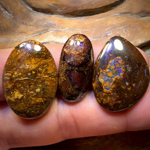 66.3cts - 3x Australian Tribal Boulder Opal’s. Wholesale Parcel