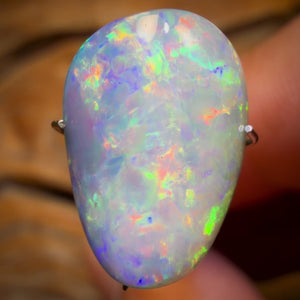 7.5cts - Rare Fossil Shell Australian Opal Doublet