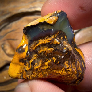 78.3 cts – Yowah Nussopal Rohstück