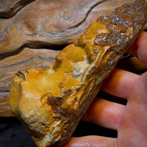 Dad Card! 1110cts - Large Queensland Boulder Opal Rough Piece. Bubble Band