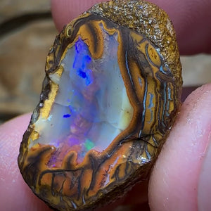 44.3cts - Yowah Nut Crystal Centre Rough Specimen