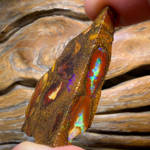 TGIF 154.4cts - TOP CUTTER Yowah Nut Conglomerate Opal Rough Piece