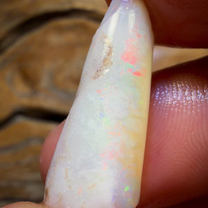 11.8cts - Opalised Belemnite Geological Specimen from South Australia
