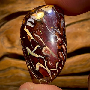 35.5cts - Tribal Queensland Boulder Opal from Koroit