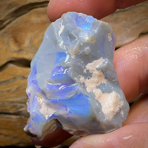 115.8cts - Large Lightning Ridge Opal Rough Piece. GEM lCutter!