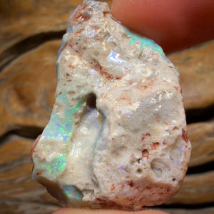 Wild Card! 69.9cts - Lightning Ridge Dark Opal Rough Piece