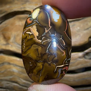 60.1cts - Big Queensland Boulder Opal. Yowah Tribal