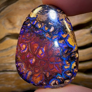 48.6cts - Tribal Queensland Boulder Opal from Yowah