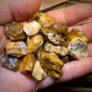 🔒307.5cts - 24x Opalised Wood/Vegetation Fossil Rough Parcel from Yowah
