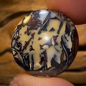 34.3cts - Queensland Boulder Opal from Koroit Bargain Tribal