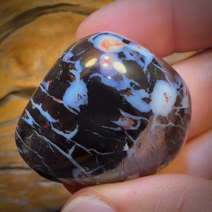251.5cts - BIG Rare Tribal Black Boulder Opal Polished Specimen