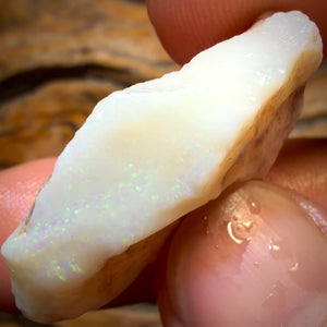 34.4cts - South Australian White Opal Rough Piece