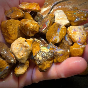 150g - Yowah Opalised Wood/Vegetation Fossil Rough Parcels. BULK LISTING!
