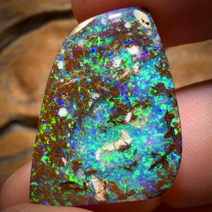 22.7cts - Top Queensland Boulder Opal from Yowah