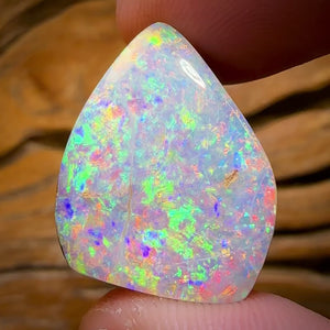 27.2cts - TOP GEM Australian Boulder Wood Fossil Opal From Yowah. Red Multicolours!