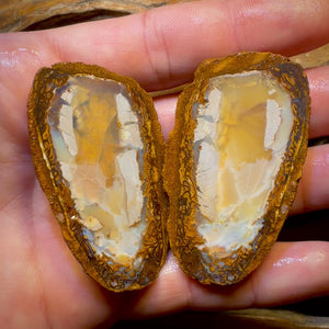 Aren’t you Glad you waited till the End Card! 254.8cts - RARE Yowah Nut Partial Crystal Centre Rough Specimen Pair