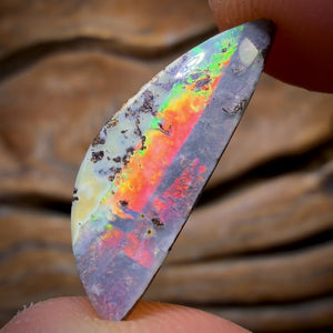 6.15cts - Queensland Boulder Seam Opal. Red Multicolours!