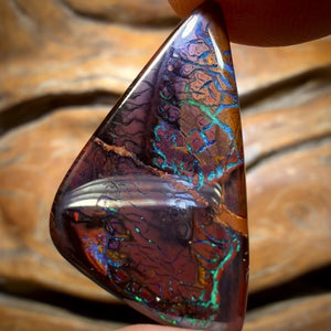 14.2cts - Tribal Koroit Nut Opal. Australian Opal
