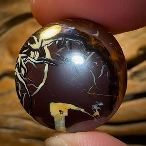 Auction Fall-Through = Your Gain! 🔥 Now More Than 50% Off RRP 🚨 47.1cts - Queensland Boulder Opal Cool Tribal from Koroit