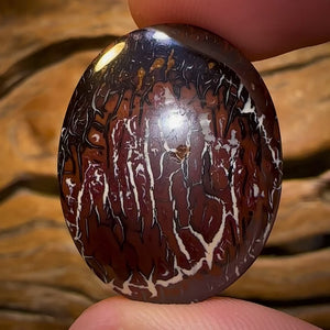 45.3cts - Queensland Boulder Opal from Koroit