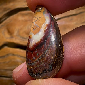 🔨 AUCTION 🔨 No Reserve  20.8cts - Koroit Nut Tribal Opal
