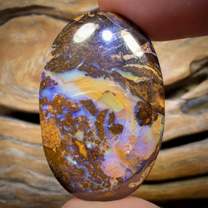 52.8cts - Queensland Boulder Opal from Yowah