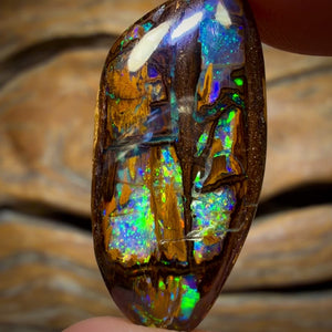 17.9cts - “Cathedral” Top Wood Fossil Replacement Boulder Opal from Yowah