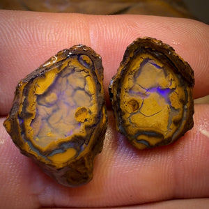 OpalFest Wildcard 40% Off 24.9cts - Yowah Nut Partial Crystal Centre Rough Specimen Pair