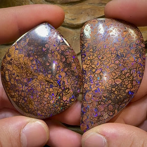 342.7cts - Yowah Nut Opal Specimen Pair. TRIBAL PATTERN