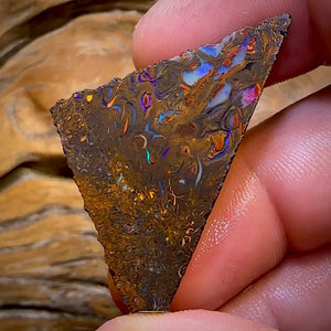 55,1 ct – Rohstück aus einem Boulderopal der Stammesbevölkerung von Queensland