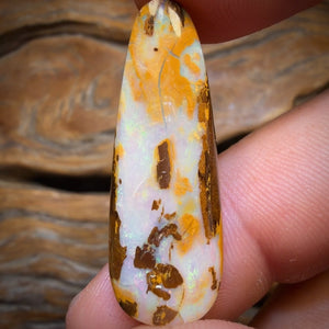 14.1cts - Yowah Nut Opal. Australian Opal