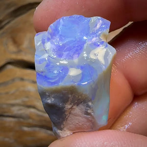 48.5cts - Lightning Ridge Opal Rough Piece