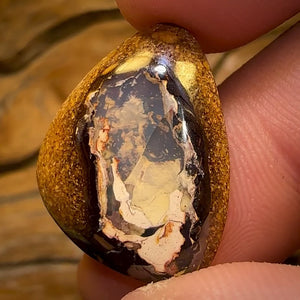 🔨 AUCTION 🔨 15.4cts - Yowah Nut Kernel Opal. Australian Boulder Opal