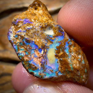 44.9cts - Great Opalised Wood/Vegetation Fossil Rough Opal Piece from Yowah