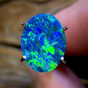 🔨 AUCTION 🔨 💎 High Roller Banger Auction 💎  1.55cts - Australian Boulder Opal Doublet