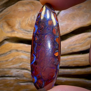 40.2cts - Tribal Queensland Boulder Opal. Australian Opal