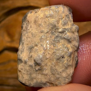 Auction Fall-Through = Your Gain! 🔥 Now More Than 50% Off RRP 🚨 18.1cts - Lightning Ridge Wood / Vegetation Fossil Opal Rough Specimen