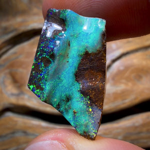 Dad Card! 44.6cts - Queensland Boulder Seam Opal Rough Rub