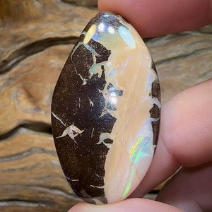 96cts - Australian Boulder Opal Bargain Picture Stone