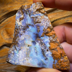 593cts - Massive Queensland Boulder Seam Opal Rough Piece