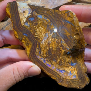 306.3g (1531cts)- Large Yowah Nut Opal Rough Slab