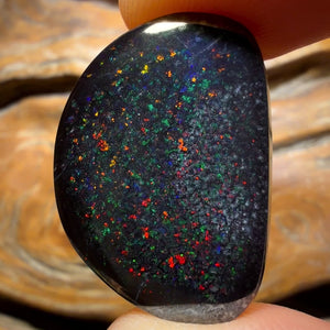 “Set in Stone” - Private Collector Acquisition- “Universe” 39.1cts - Rare Black Boulder Opal from Yowah