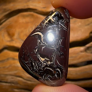 42.6cts - Queensland Boulder Opal from Koroit