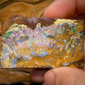 651.5cts - Queensland Boulder Seam Opal Rough Piece