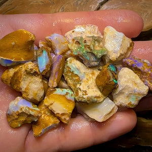 215cts - 25x Opalised Wood/Vegetation Fossil Rough Parcel from Yowah