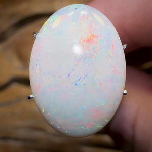 7.6cts - BIG South Australian White Opal BARGAIN