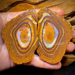 697cts - Large Yowah Nut Partial Crystal Centre Rough Specimen Pair