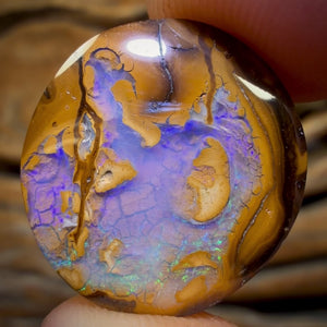 Opalfest WildCard 60 %OFF 9.9cts - Yowah Nut Opal. Australian Boulder Opal