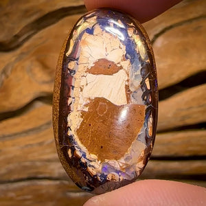 31.7cts - Yowah Nut Kernel Opal. Australian Boulder Opal